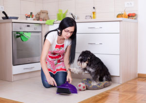 How do you deep clean a house with pets?