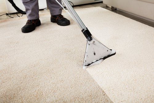 How-to-Make-an-Old-Carpet-Stain-Go-Away