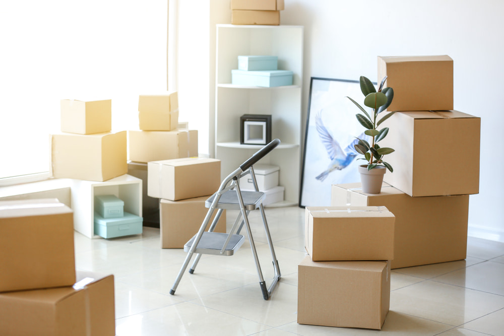 Typical Mistakes People Make When Move-In Cleaning
