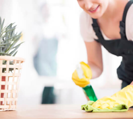 Comprehensive house cleaning and maid service