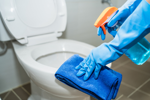 wasilla ak cleaning services