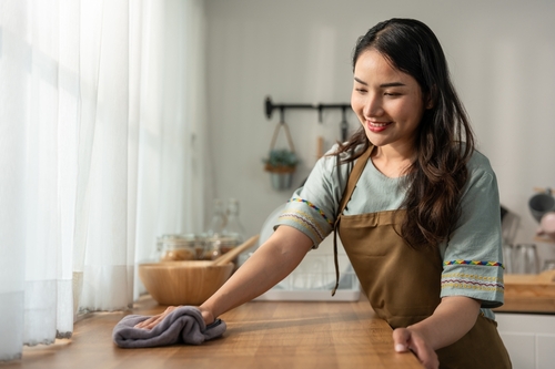 house cleaning services chugiak ak