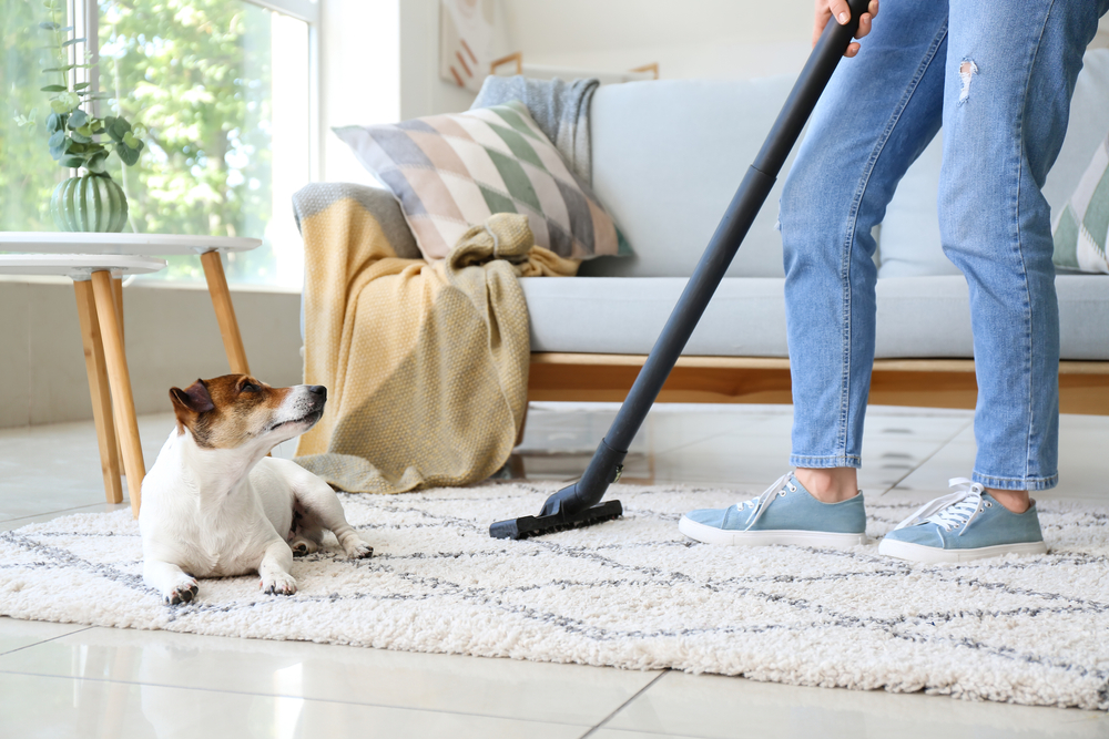 What is the best way to clean salt