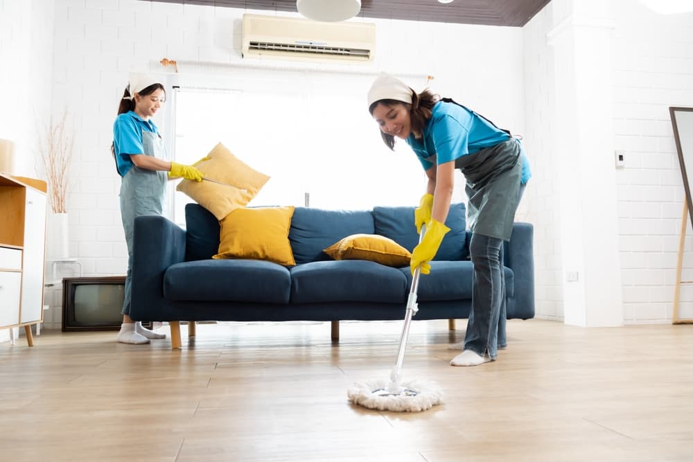 Is weekly or biweekly cleaning better