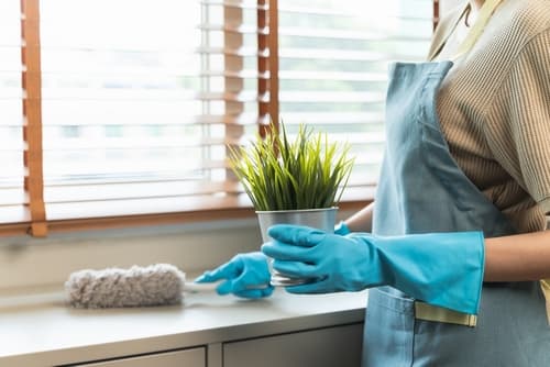 home cleaners gilbert